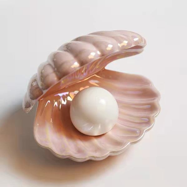 Creative Shell Night Light