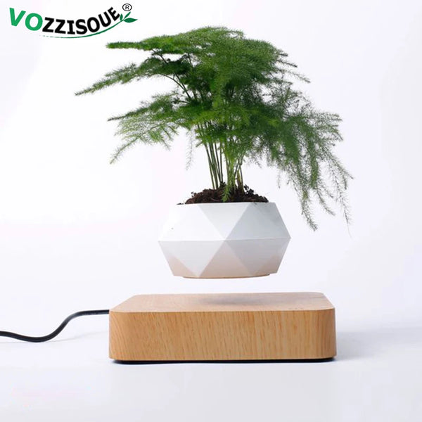 Amazing Levitating Air Bonsai!